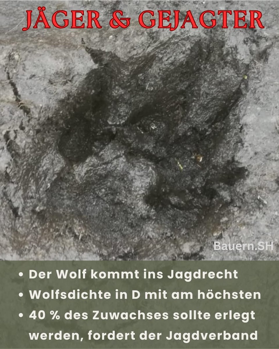 Bauern.SH tweet media