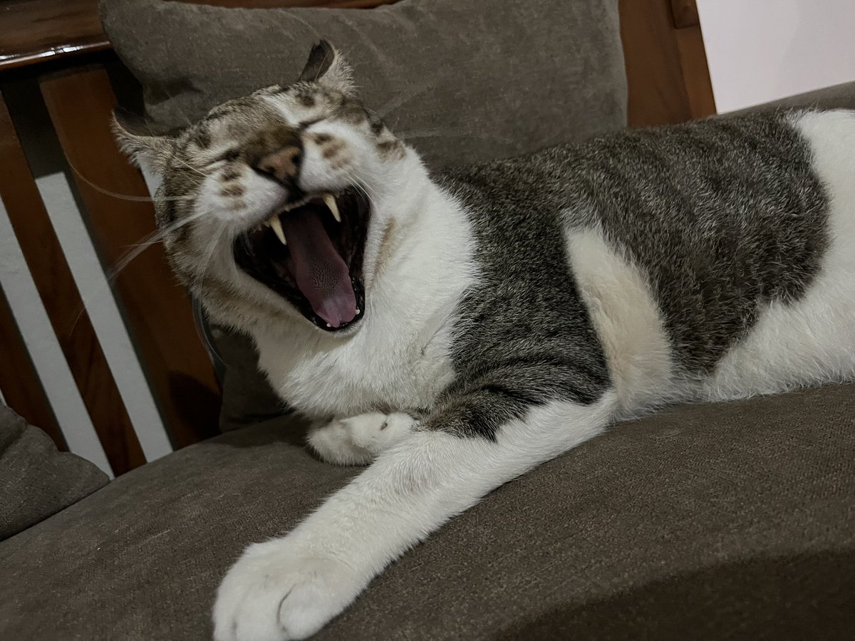 senyum yang manissss