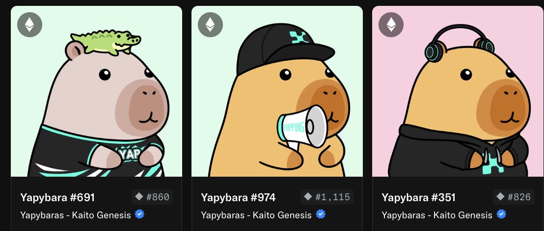 Javi🥥.eth tweet media