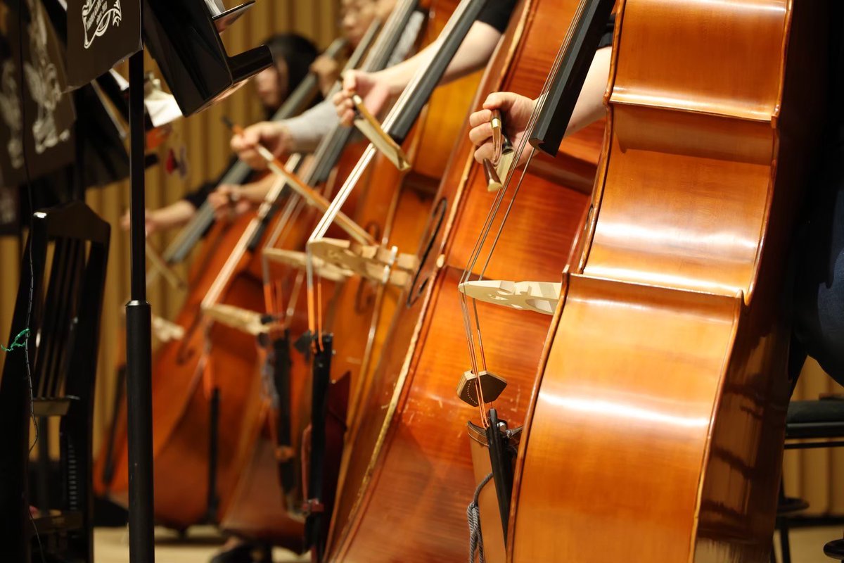 UOZUGAMEDAY's tweet image. 🎶出演楽団紹介④🎶
『名古屋ゲームミュージックストリングス』

名古屋ゲームミュージックストリングスは、弦楽アンサンブルでゲーム音楽を演奏する、かなりレア度が高い楽団です。
弦楽器とゲーム音楽の良さを、お客様にお届けすることを目標にし、活動しています！

#UOZUGAMEDAY @ngm_strings