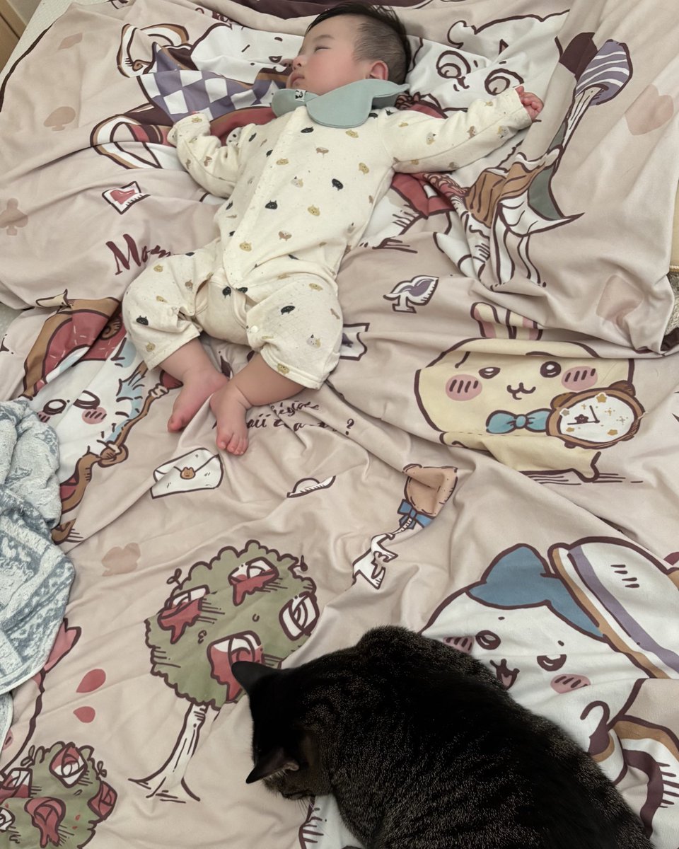 まめまる☺︎🐈‍⬛🩵ྀི ⁶ᵐ (@mamemarutama) / Posts / X