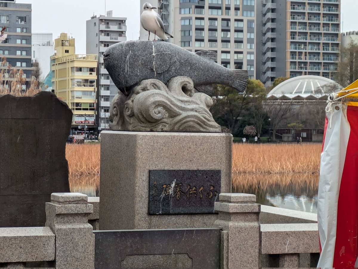 JapanGuide31993's tweet photo. A stone monument dedicated to the memorial service for pufferfish.

#Pufferfish #Fugu #JapaneseCulture https://t.co/yTSbbKeuil
