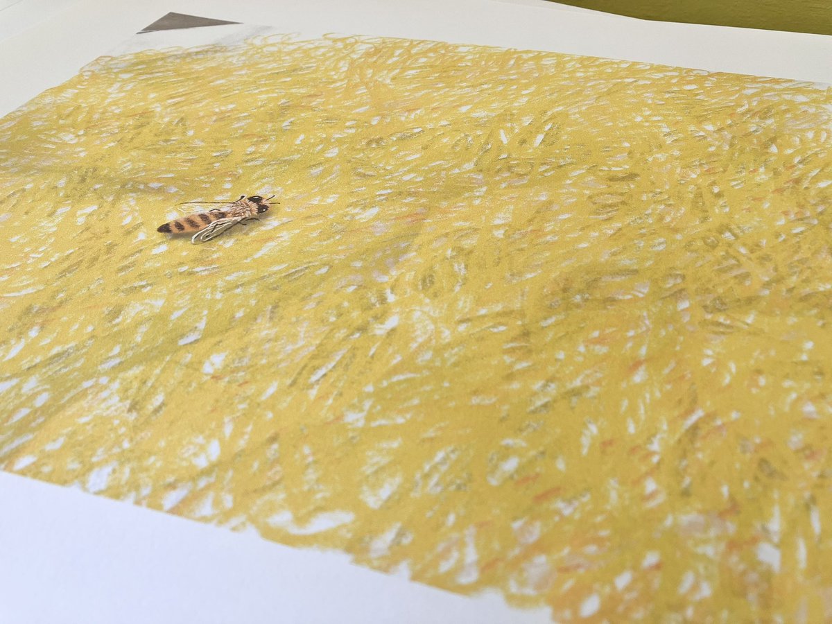 準備中🐝

#なのはないろのわたしのえ 
#世界文化社