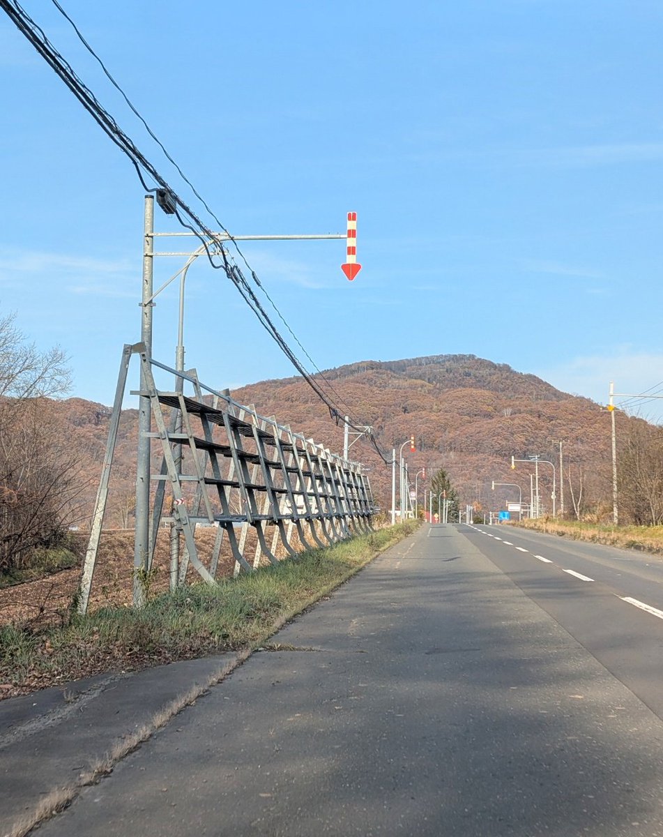 スギちゃん (@wild_sugichan) / Posts / X