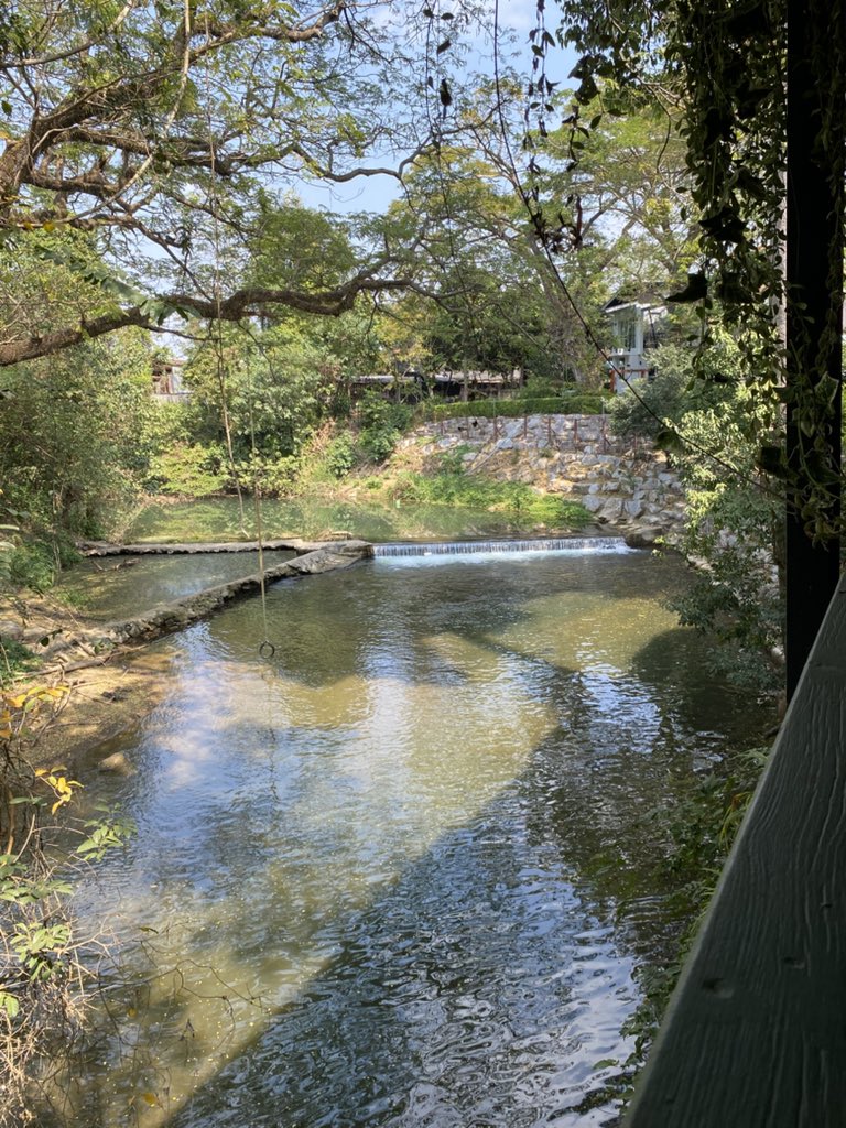 ชิลด์ๆ ที่ปากช่อง