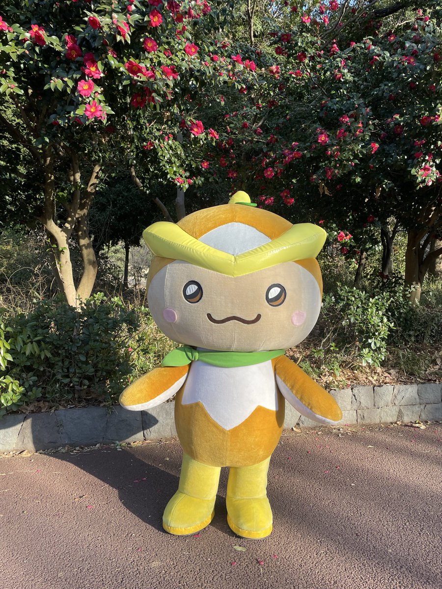 トコろん【公式】 (@tokoron1056) / Posts / X