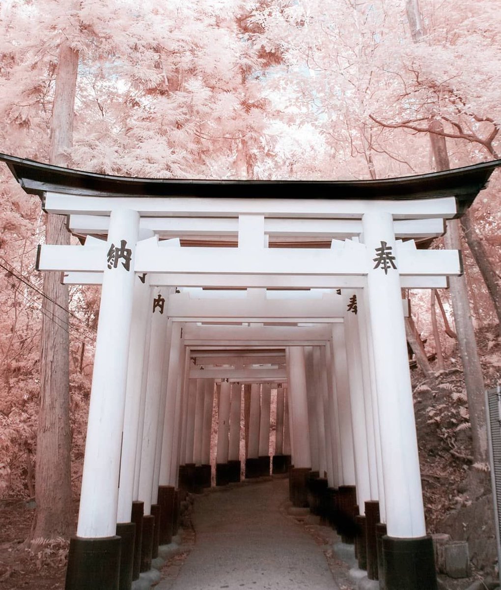 phidel31's tweet image. 図書館で借りた小説が面白すぎて、4時間も読み続けてしまった 🍛