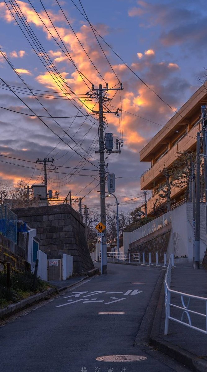 Demode99's tweet image. スマホの容量がいっぱいで写真整理しなきゃ 🌏