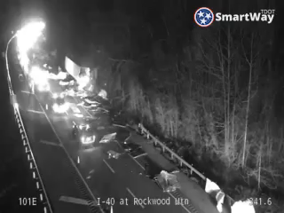 Bo Williams tweet media