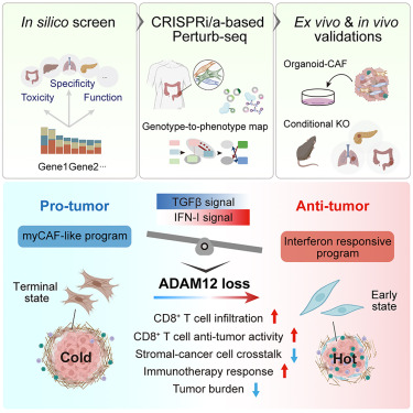 Waggoner Lab tweet media