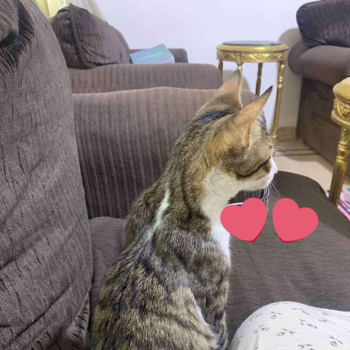 Lena (@9xice_) on Twitter photo 