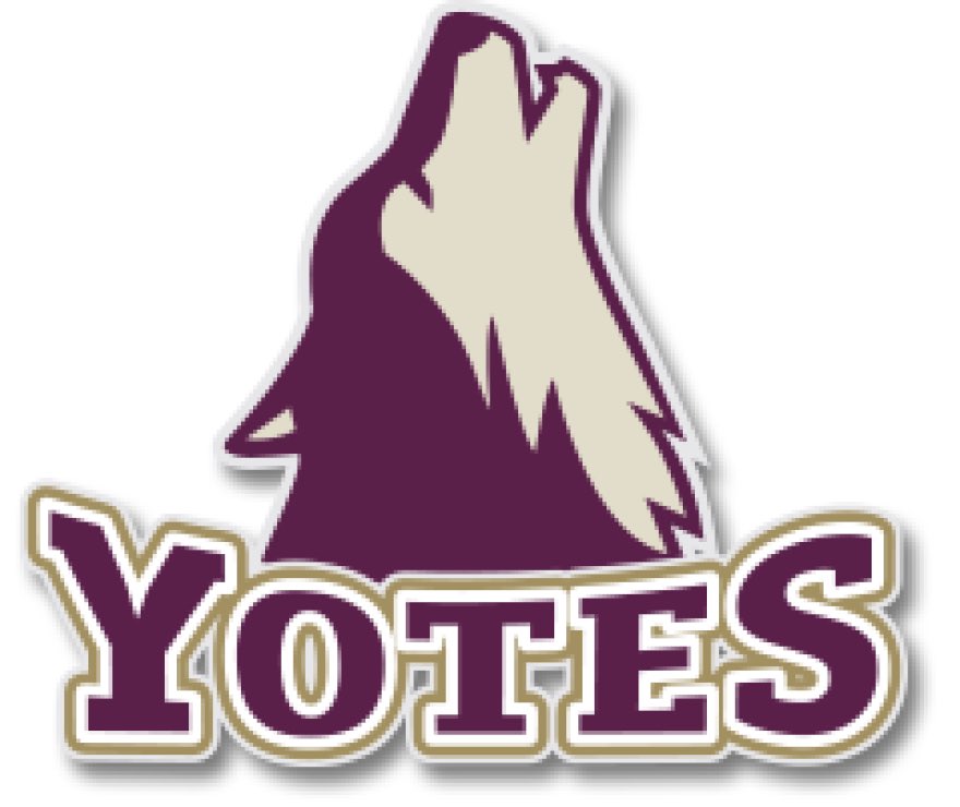 Mason Pollard tweet media