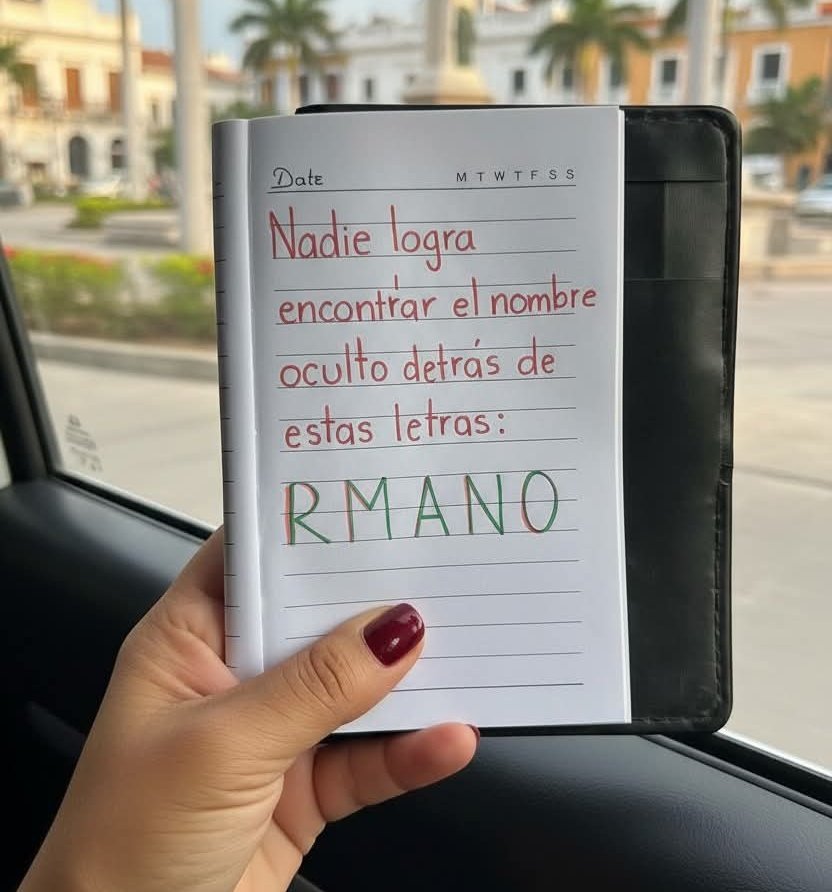 Suricato 💎 tweet media