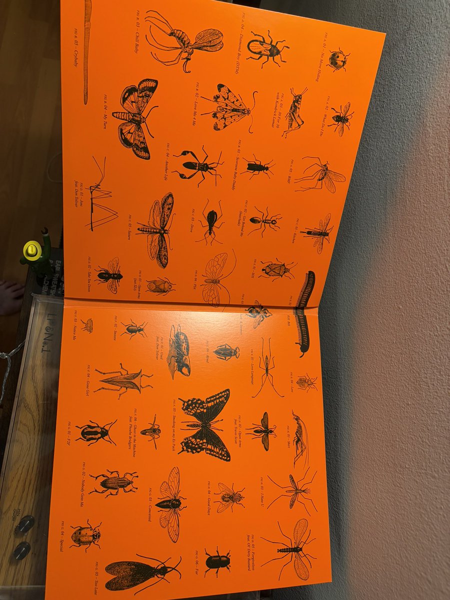 dylan_quist's tweet image. Tonight’s spin