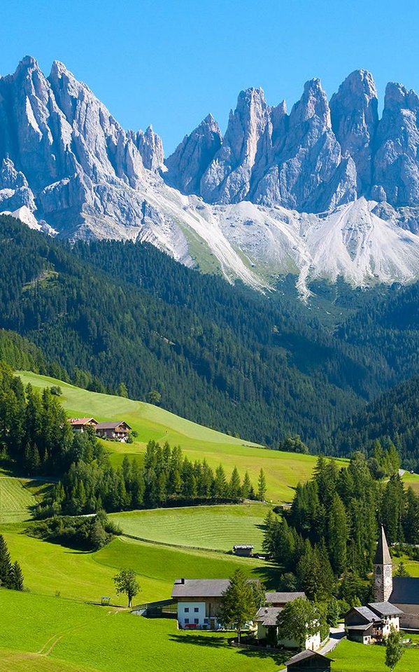 jency8's tweet image. 同期が海外出張から帰ってきて、お土産話を聞いているうちに自分も旅行したくなった 🦩