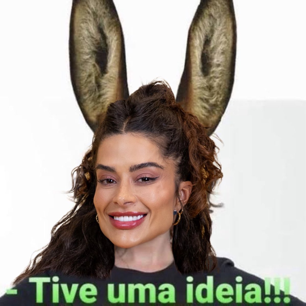 paiva's tweet photo. sim aline uma otima ideia levar ANA PAULA RENAULT contra você no PRIMEIRO PAREDÃO DA EDIÇÃO por conta de uma fala de 10 ANOS ATRÁS #bbb26 https://t.co/o8WsKY4cfY