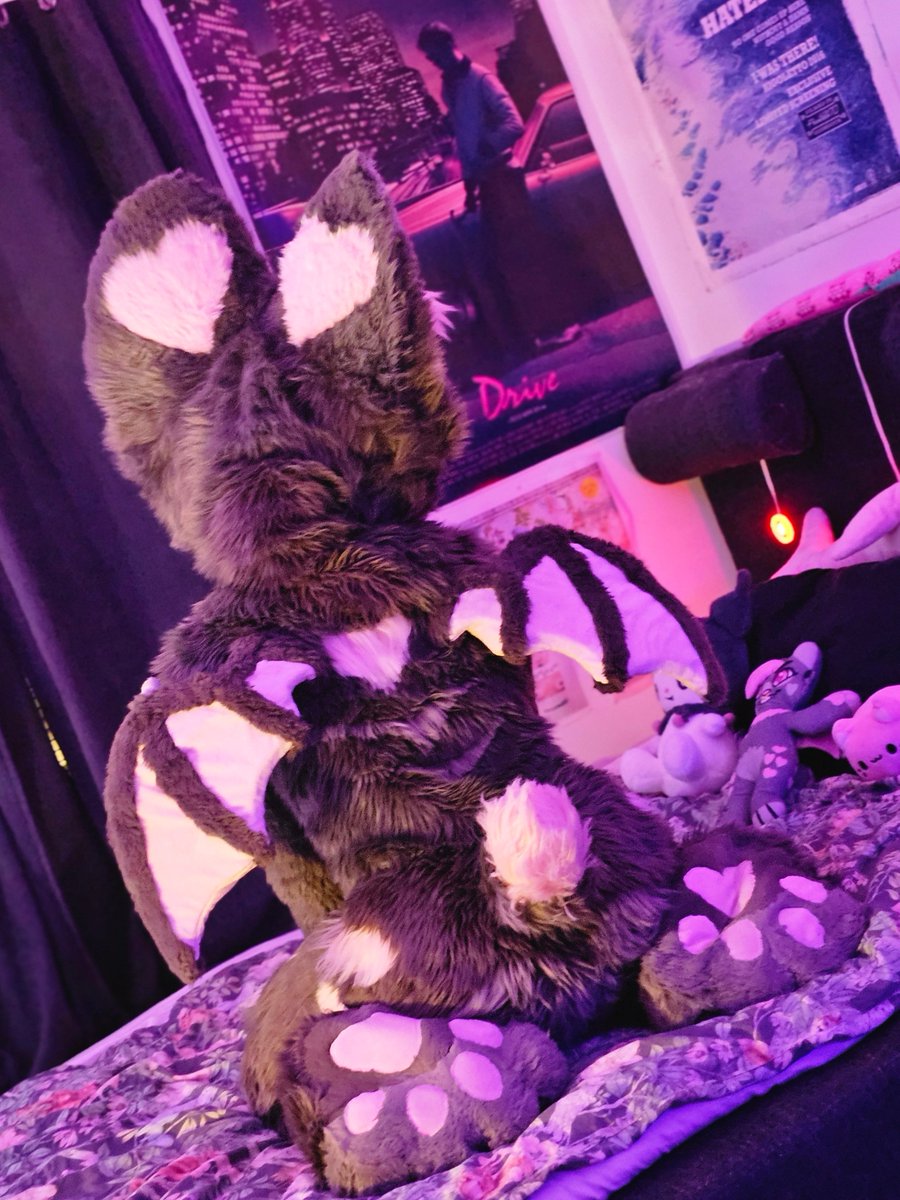 𝖓 𝖔 𝖓 𝖆 🦇 tweet media