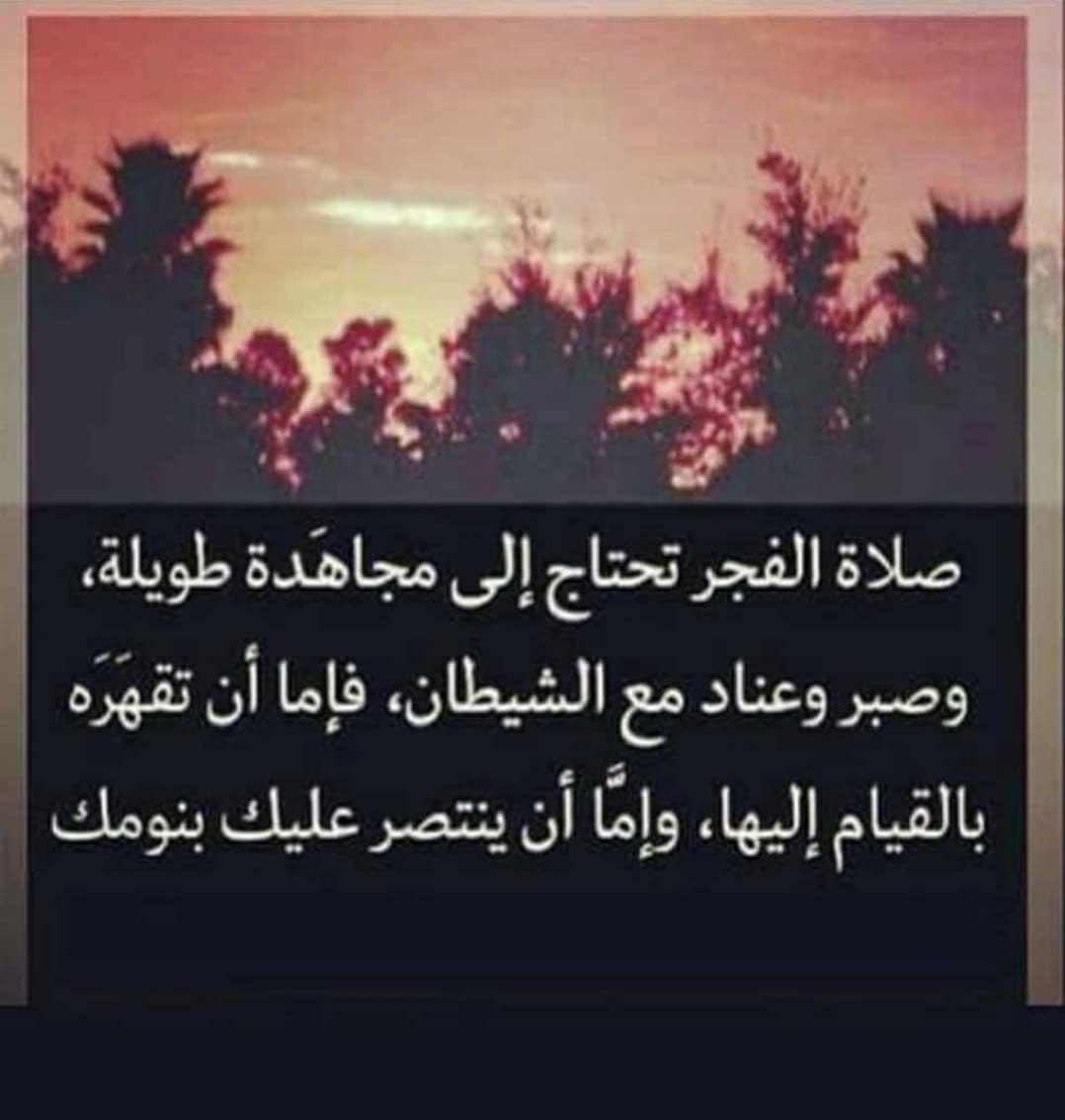 maghawri shinnawi tweet media