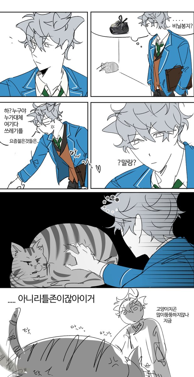 저희집고양이많이뚱뚱한가요?