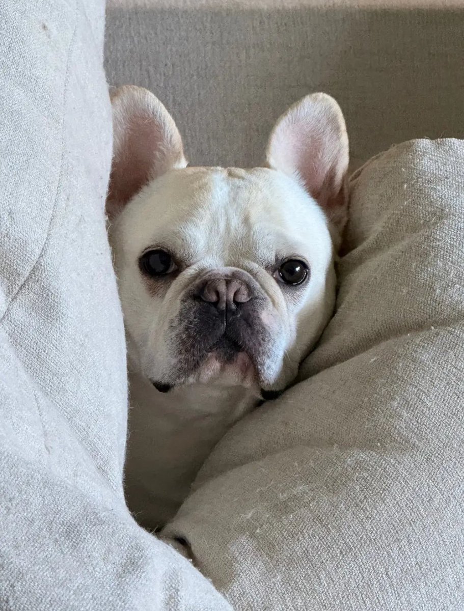 thebarney11's tweet image. qualed eval finals @mirops4x @ntstomp