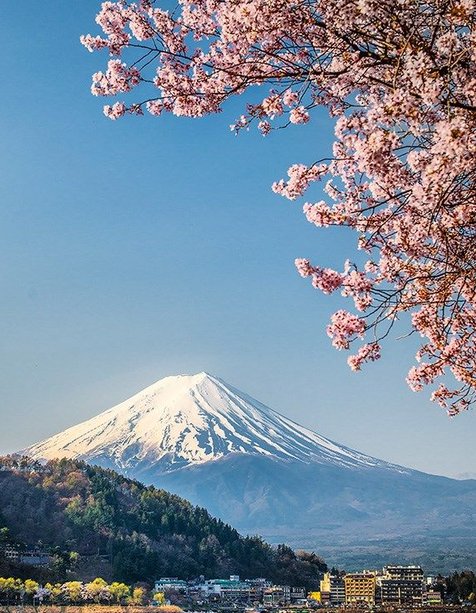 Yefer104's tweet image. 今日買った傘が風で壊れて、びしょ濡れになって帰宅した 🌺