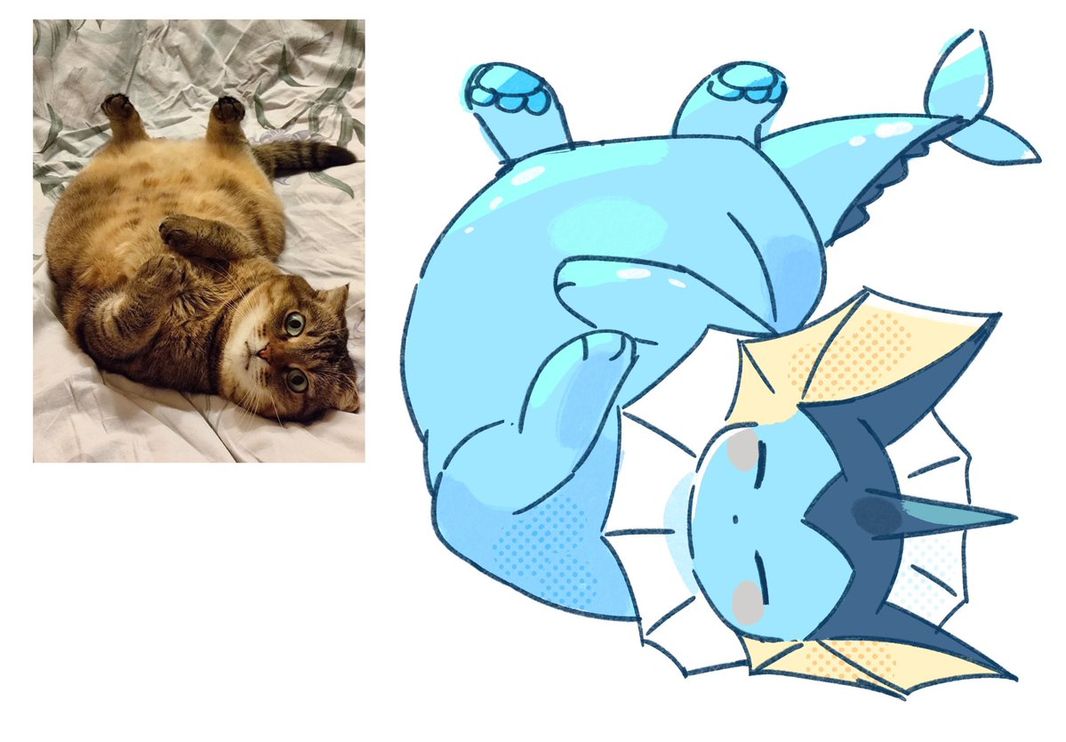 seta629211's tweet image. 