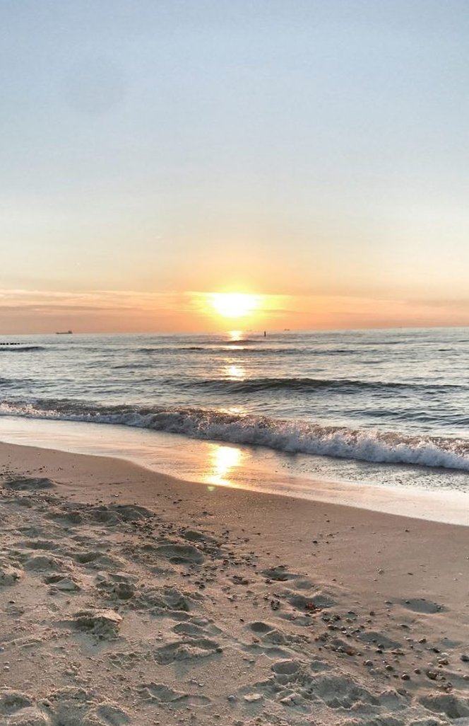 PremierCSvc's tweet image. ジグソーパズル1000ピースに挑戦中
根気がいるけど完成した時の達成感を想像してがんばる 🧞