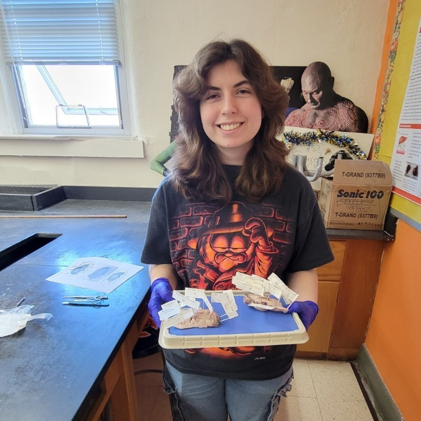 Villa Grove CUSD 302 tweet media