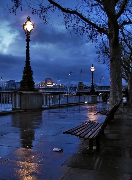 nerma03's tweet image. 犬の散歩で知り合ったご近所さんと、今度一緒にドッグランに行くことになった 🍸