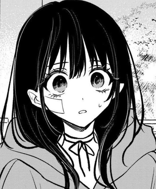 mrdborg's tweet image. 洗濯物を外に干したまま出かけて、帰ってきたら雨でびしょ濡れだった 🐘