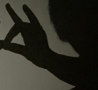 SusiRodS's tweet image. 映画鑑賞しようかな！！ 🦝