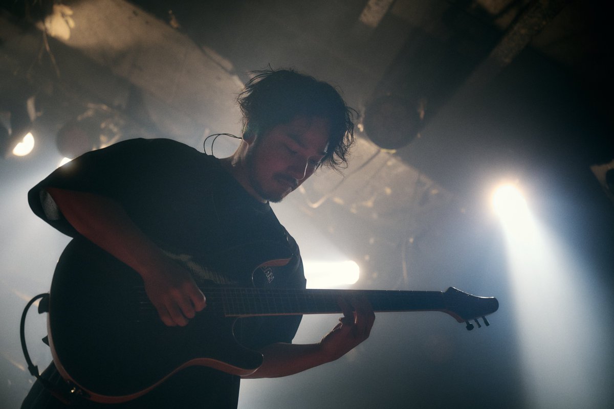 Cyclamen tweet media