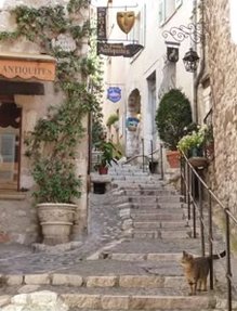 TimvanGaal's tweet image. 昨夜見たホラー映画のせいで一人暮らしのアパートが怖くて眠れなかった 🤙