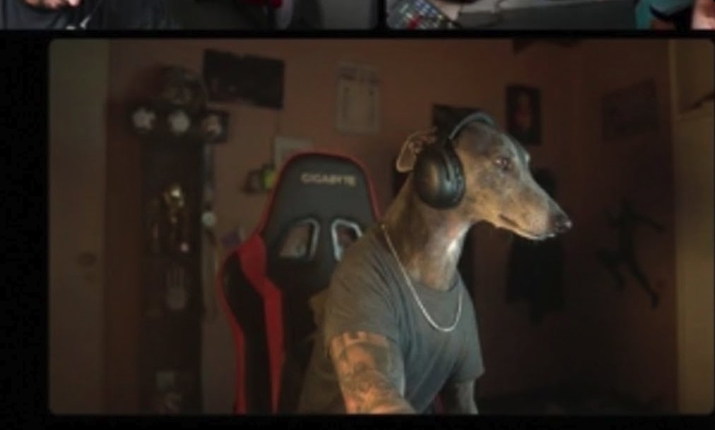 CoscuArmySeries's tweet image. el galgo galati