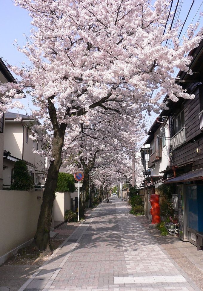 chell926's tweet image. 友達と一緒に陶芸体験に参加した。不器用だけど、土に触れる感覚が新鮮で面白かった 🐏