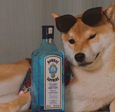 FabianoCcripto's tweet image. 大いに電話しすぎた 👆