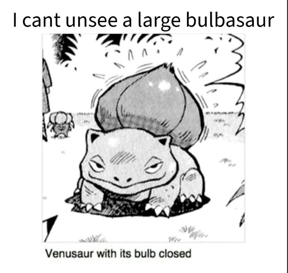 TsarSylveon's tweet image. He will always be cabbage!