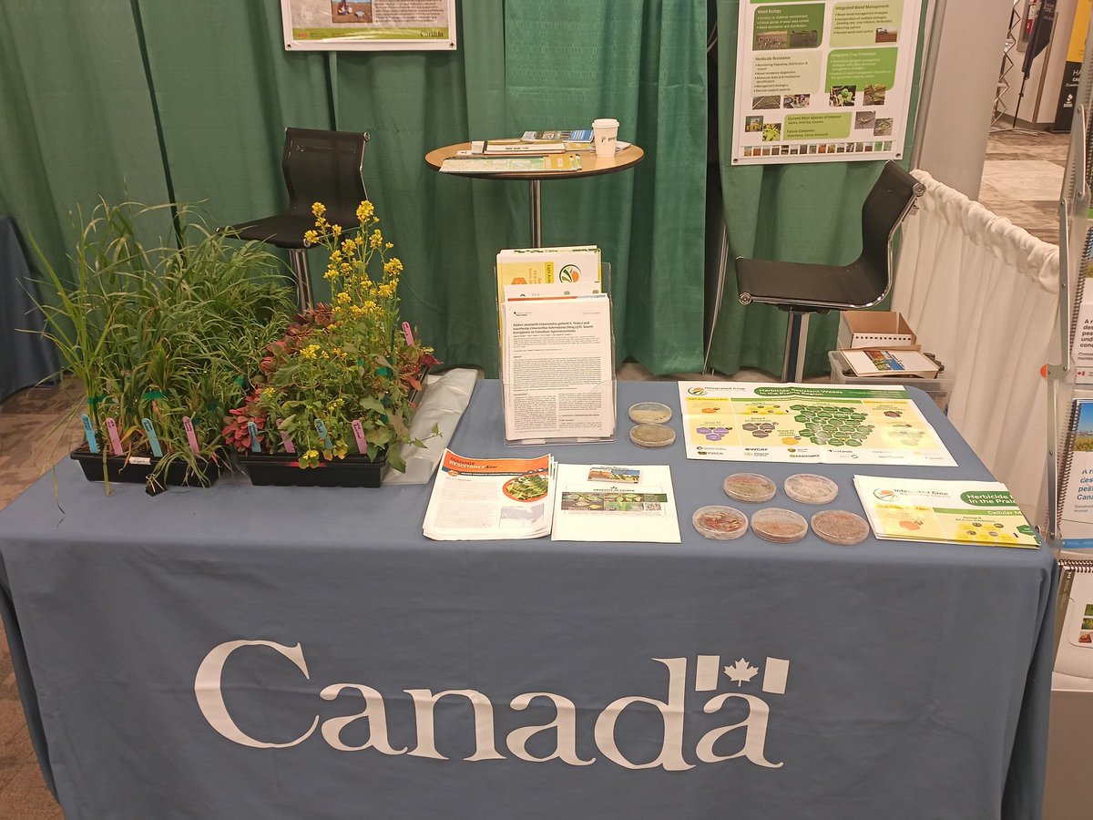 Shaun M. Sharpe tweet media