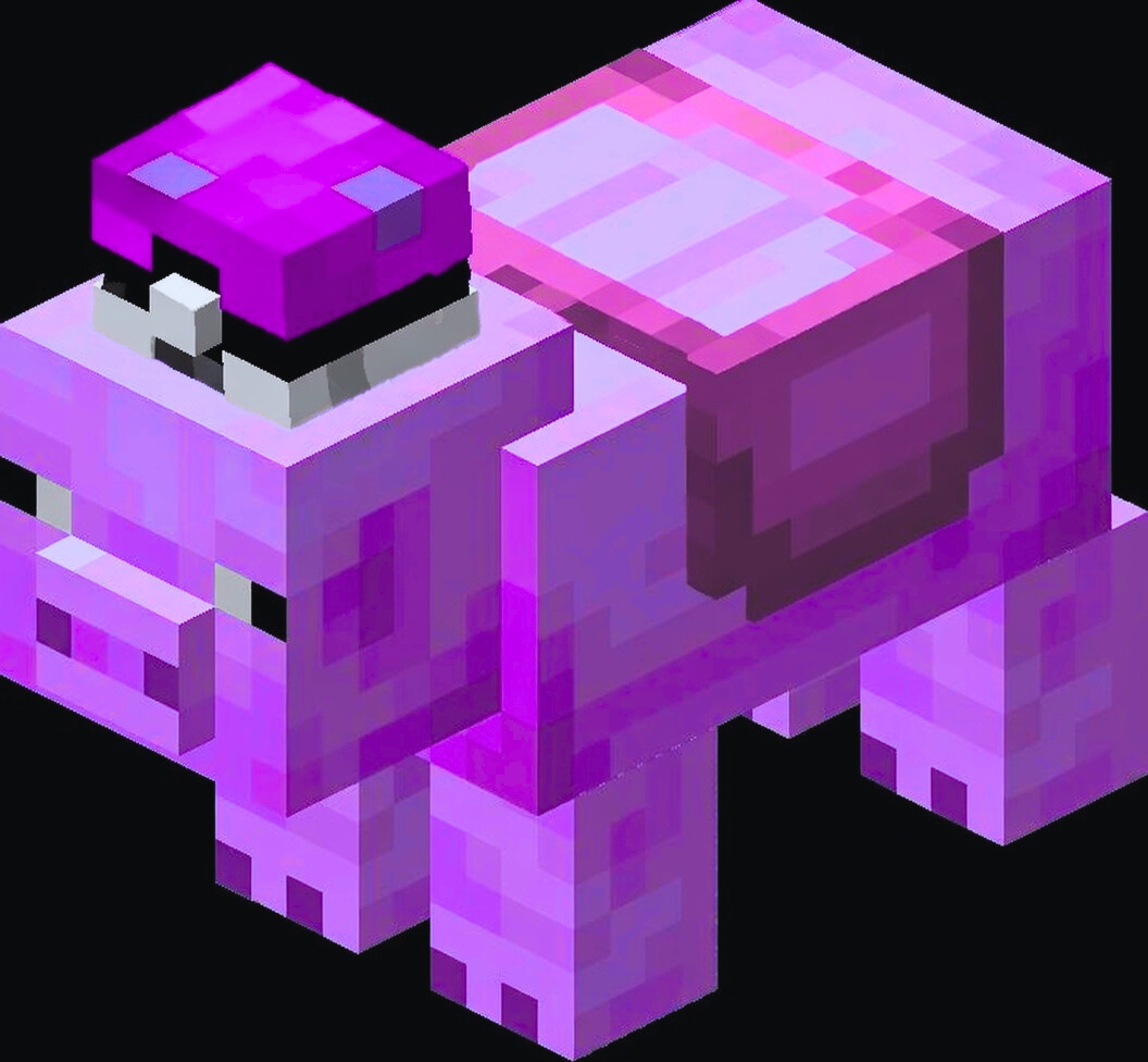 we are cooking, cto is not dead just chilling on the farm helping another project <a href="/Solkemon1/">Solkemon</a> . 
stay connected, news to come soon (check tg) <3