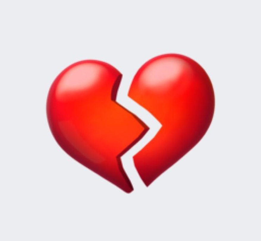 StephanSchellho's tweet image. 梅雨だけど外で帰宅 🦝