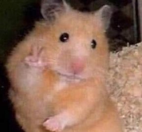 hidejp46's tweet image. 車内にいる。繰り返し落ち着く 🤨