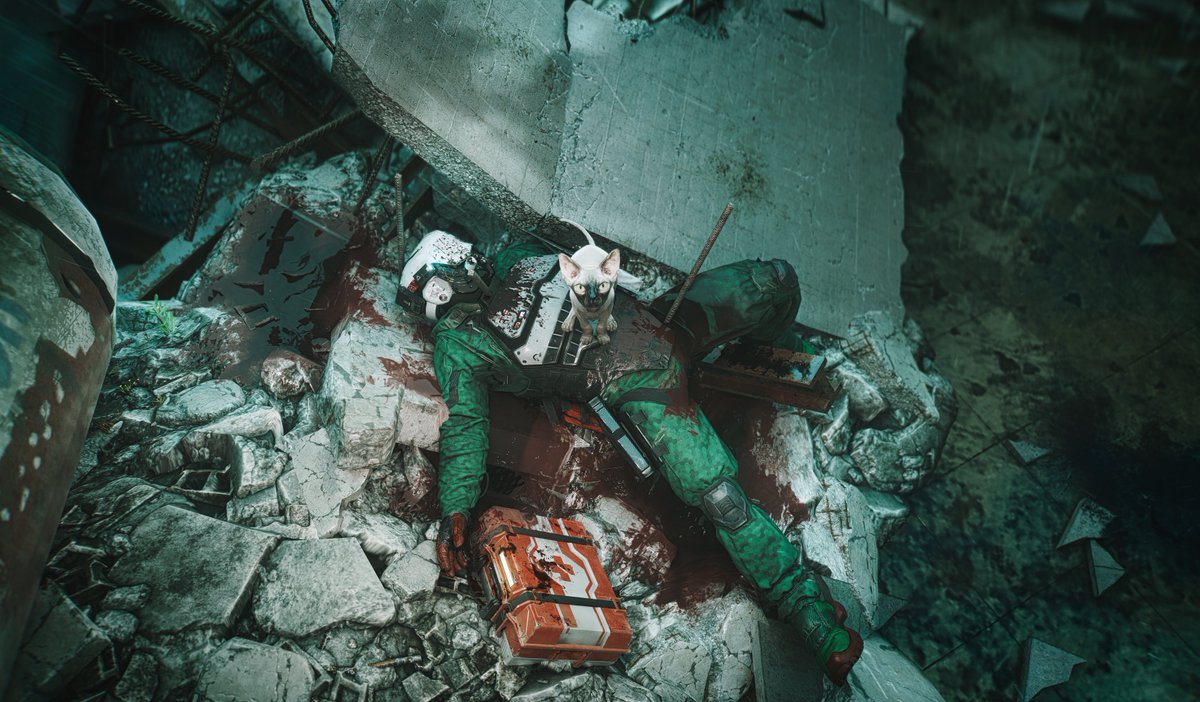 Trauma Cat #Cyberpunk2077