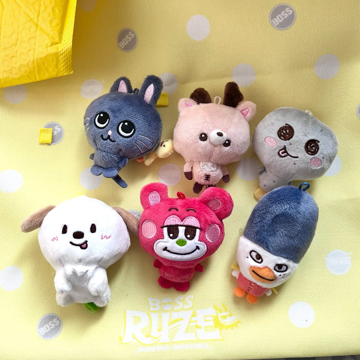 surfingtonni's tweet image. พี่ไม่โอ little riize from temu หรอ 😭