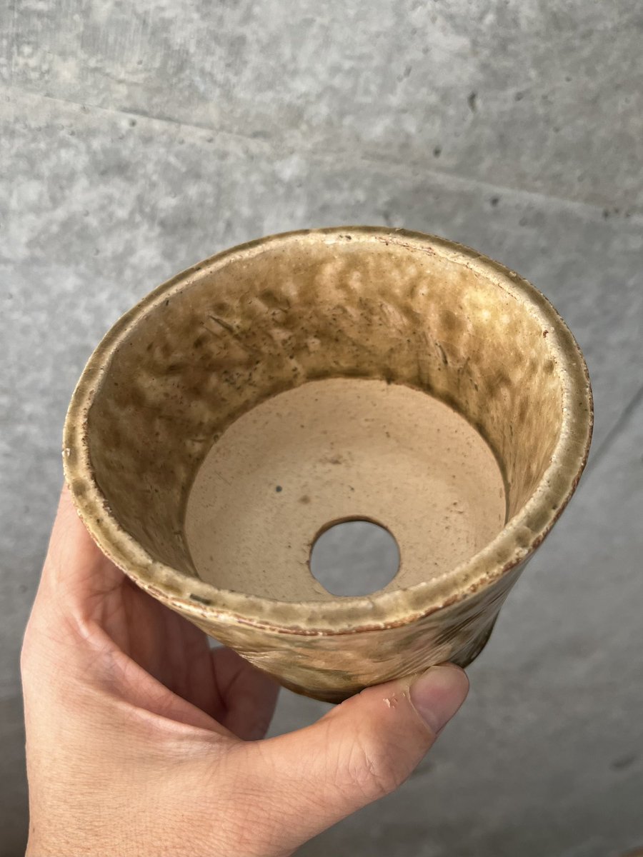 秋の作陶会で作った手びねりの植木鉢が完成した。だいたい3.5号。今は年に一度か二度しか出来ないけどそのうちまた復帰できるといいな