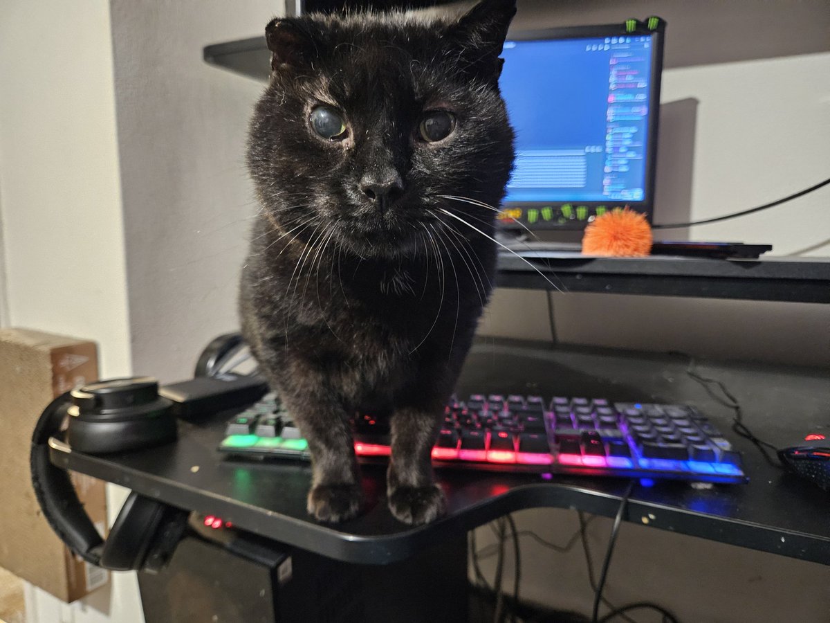 HurricaneHam's tweet image. You can see where he stepped on the keyboard and was sending a really long message.