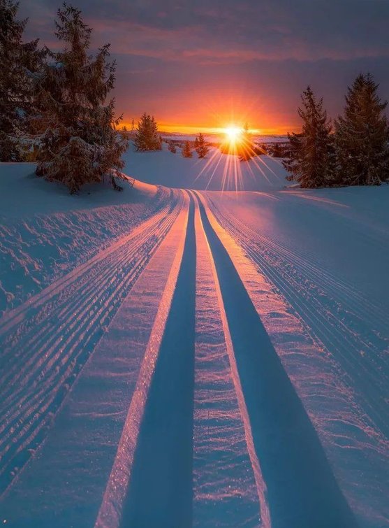 SpiroGakis's tweet image. 昨日のバイトで失敗してしまって今日も引きずってる 🐃