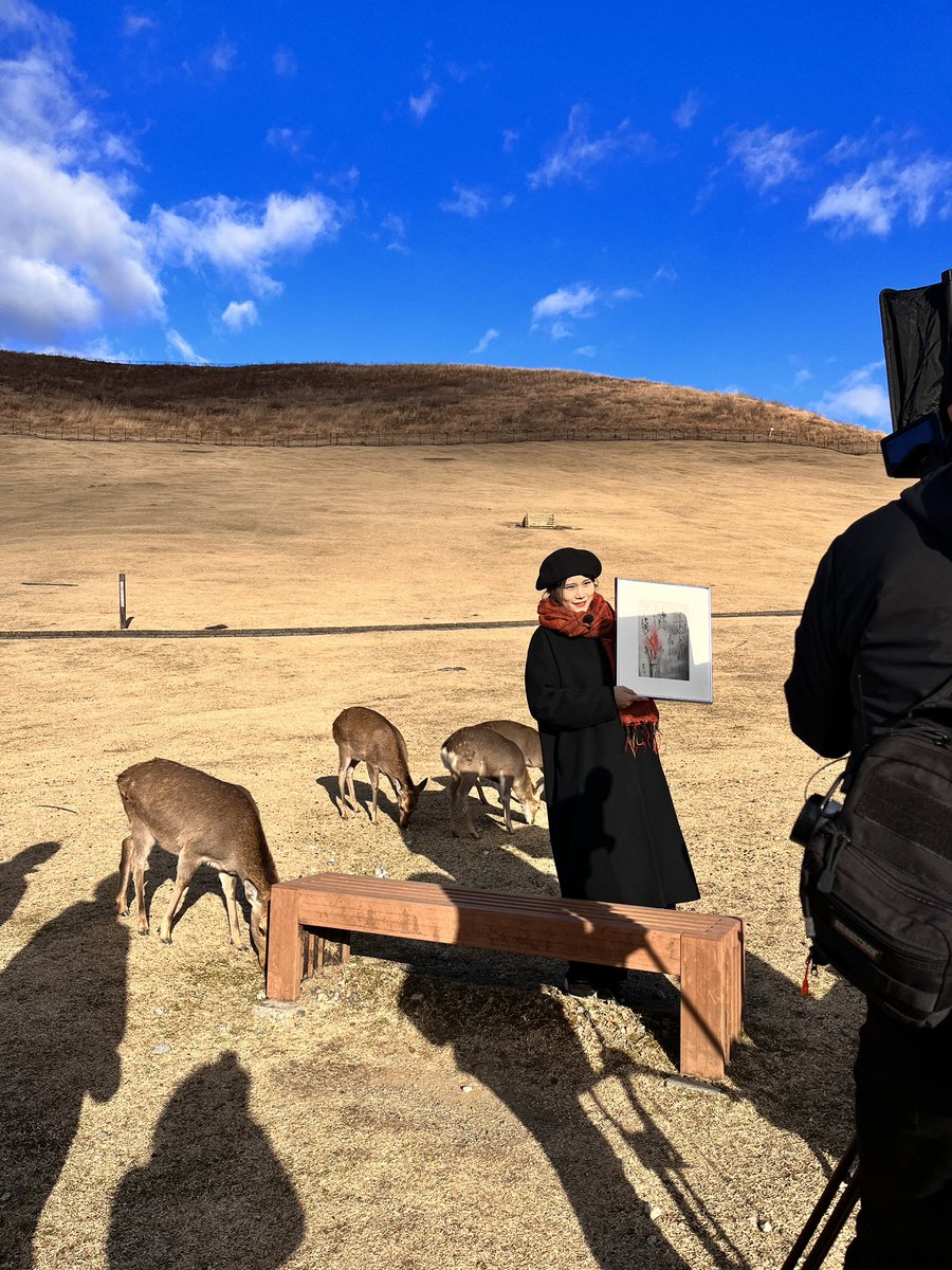 奈良公園 | Nara Park【公式】 tweet media