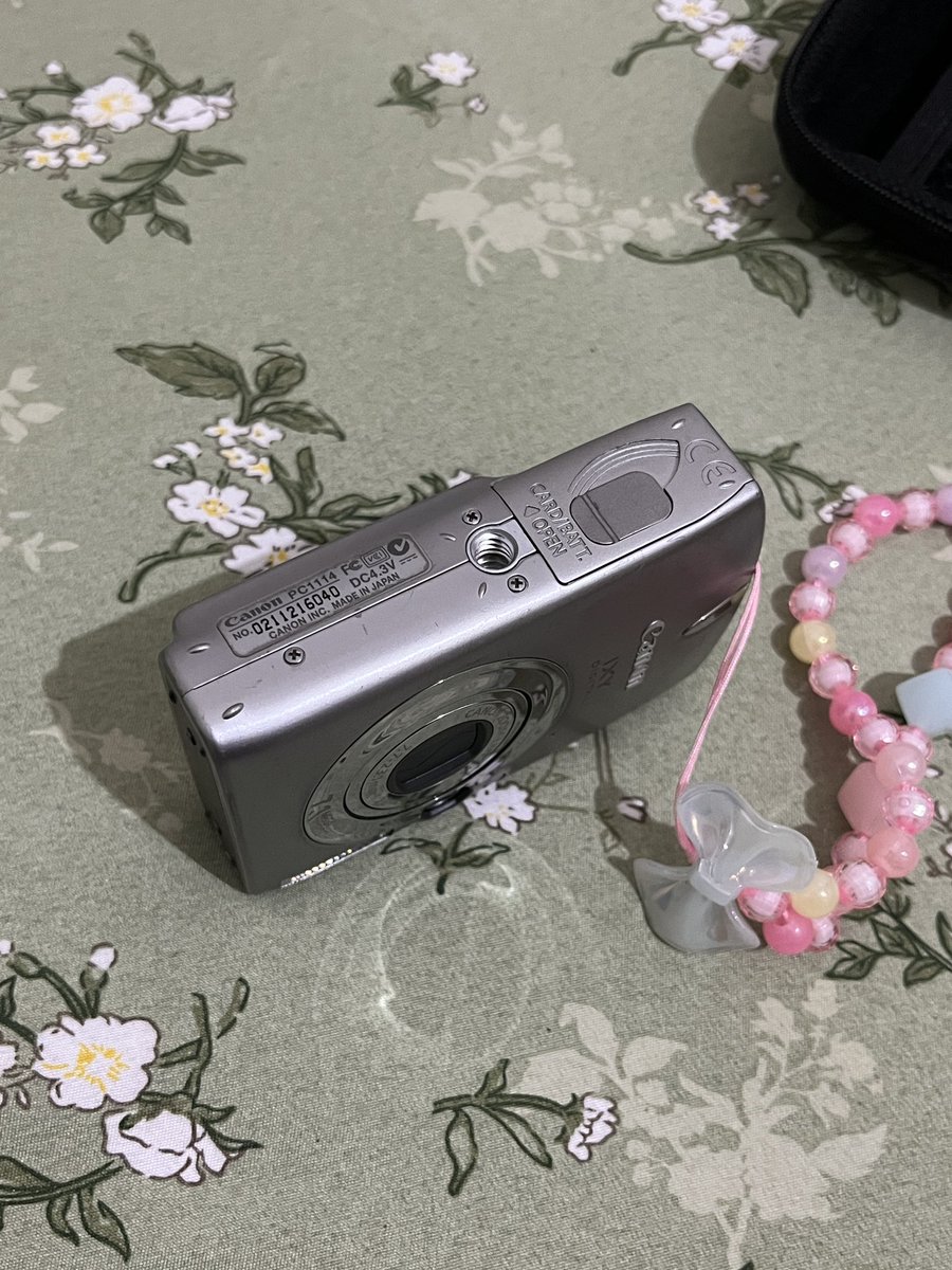 za ʕ•́ᴥ•̀ʔっ tweet media