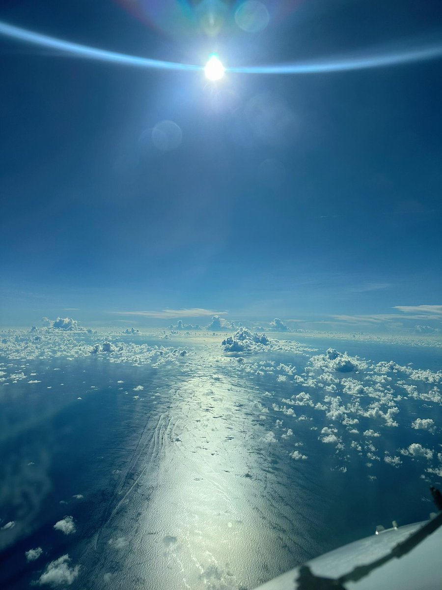 Tom Hiddleston tweet media