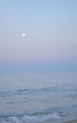 cmitchell623's tweet image. 今日のランチは700円の定食にしたけど量が少なかった 😳